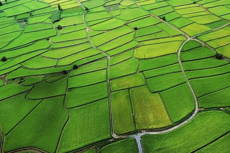 深圳市地籍调查核查内容及方法_ 新闻资讯_深圳市工勘岩土集团有限公司